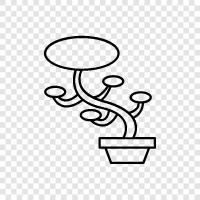 ağaçlar, satılık ağaçlar, ağaç bakımı, bonsai ağaçları satılık ikon svg