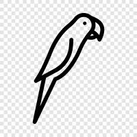 tropical, birds, pets, petshop icon svg