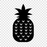 tropical, fruit, healthy, delicious icon svg