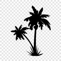 tropical, leaves, fronds, branches icon svg