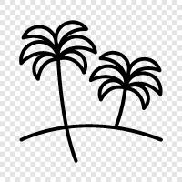 tropical, tall, green, leaves icon svg