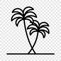 tropical, fronds, coconut, tree icon svg