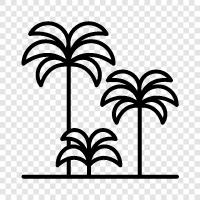 tropical, trees, indoor, house icon svg