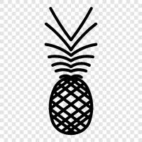 tropical fruit, delicious, sweet, fruit icon svg