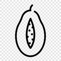 tropical fruit, fruit, mangos, avocados icon svg