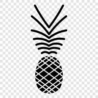 tropical fruit, sweet, dessert, healthy icon svg