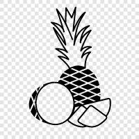tropical, fruit, healthy, sweet icon svg