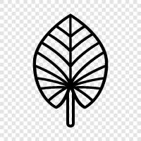 tropical leaves, leaf, leaves, foliage icon svg