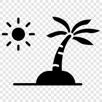 tropical, Caribbean, vacation, island paradise icon svg