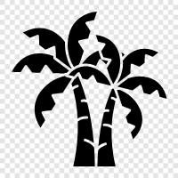 tropical, green, leaves, fronds icon svg