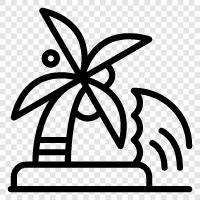 tropical, vacation, relax, paradise icon svg