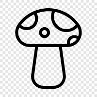 Truffles, Edible, Fungi, Mushroom ikon svg