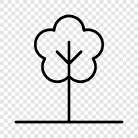 trunk, branches, leaves, flowers icon svg