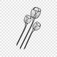 Tulpe, Blumen, Garten, Frühling symbol