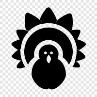 Truthahn, Thanksgiving, Thanksgiving Rezepte, Vogel symbol