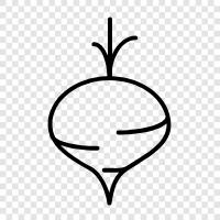 Turnip Green, Turnip Root, Turnip Greens, Turnip Salad icon svg