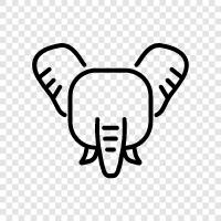 tusk, ivory, elephant hunting, African elephant icon svg