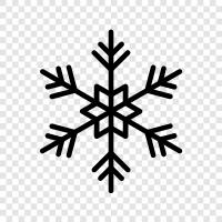 Unique, Elegant, Cute, Snowflake icon svg