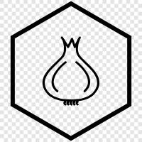 vegetable, bulb, storage, cooking icon svg