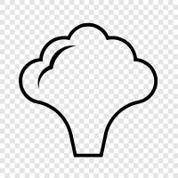 vegetable, vegetable recipes, vegetable dishes, cauliflower soup icon svg