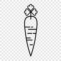 vegetable, root, health, vitamin icon svg