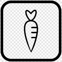 vegetable, root, cooking, nutritional icon svg