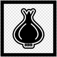 vegetable, bulb, root, flavor icon svg