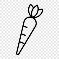 vegetable, fresh, sweet, nutritious icon svg