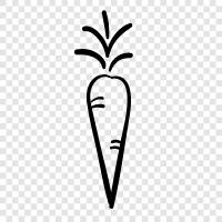 vegetable, healthy, dietary, vitamin A icon svg