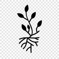 vegetable, fruit, tree, shrub icon svg