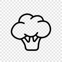 vegetable, cruciferous vegetable, cooking, healthy icon svg