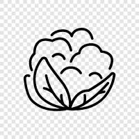 vegetable, side dish, healthy, low calorie icon svg