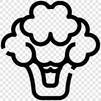 vegetable, brassica, cruciferous, health benefits icon svg