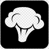 vegetable, cruciferous, cancer, healthy icon svg