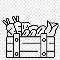 vegetable storage, vegetable gardening, vegetable containers, vegetable garden plans icon svg