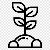 vegetable, seed, grow, grower icon svg