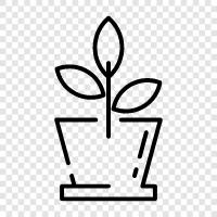 vegetables, fruits, flowers, growing icon svg