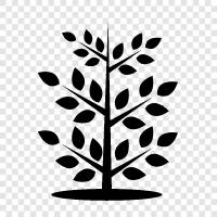 vegetation, leaves, branch, trunk icon svg