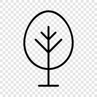 vegetation, leaf, tree, park icon svg