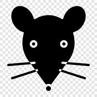 haşere, rodent, ev faresi, hamster ikon svg