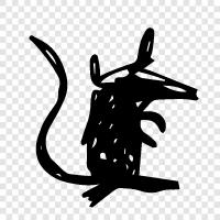 vermin, rodent, house rat, brown rat icon svg