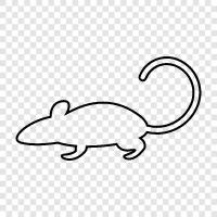 vermin, rodent, rodenticide, gerbil icon svg