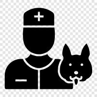 veterinarian, animal, animal care, animal health icon svg