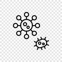 virus disease, virus symptoms, virus treatment, virus prevention 1. icon svg