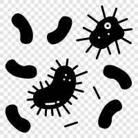 virus symptoms, virus prevention, virus treatment, virus cure icon svg