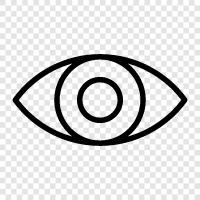 vision, sight, eyeball, optic nerve icon svg