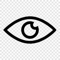 Vision, Brille, Kontakte, Auge symbol