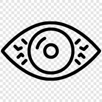 Vision, Sight, Optics, Eye Doctor icon svg