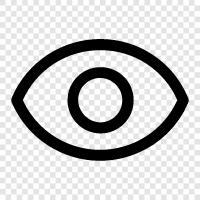 Vision, Glasses, Pupils, Eyebrows icon svg