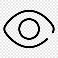 vision, sight, eyeball, pupils icon svg